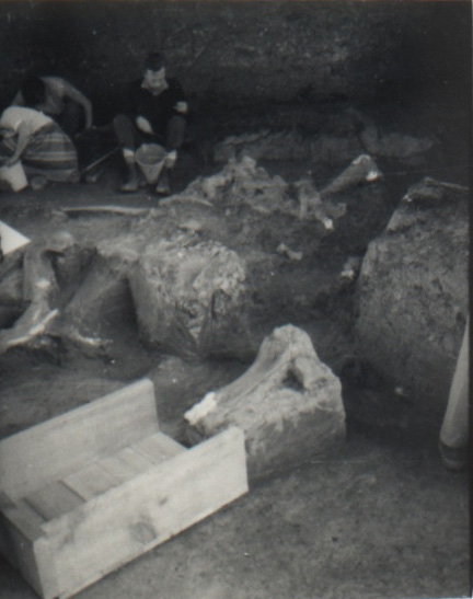 19640000 AVELEY 17.jpg
